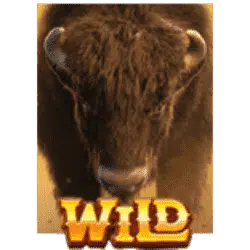 Buffalo Win