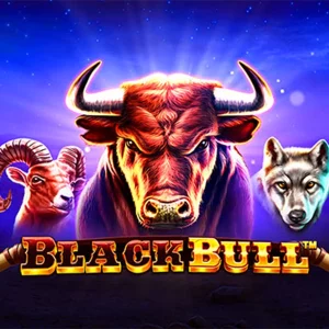 Black Bull
