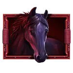 Happy Hooves