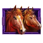 Happy Hooves