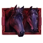 Happy Hooves