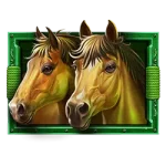 Happy Hooves