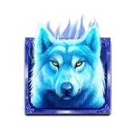 Hokkaido Wolf