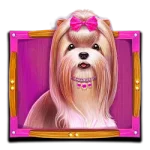 The Dog House