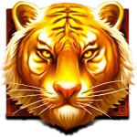 The Tiger Warrior