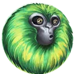 7 monkeys